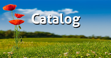 Eaglecrest Books catalog